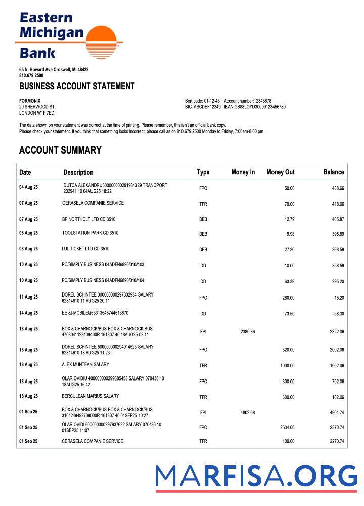 Realistic US Eastern Michigan organization checking account statement Word and PDF template